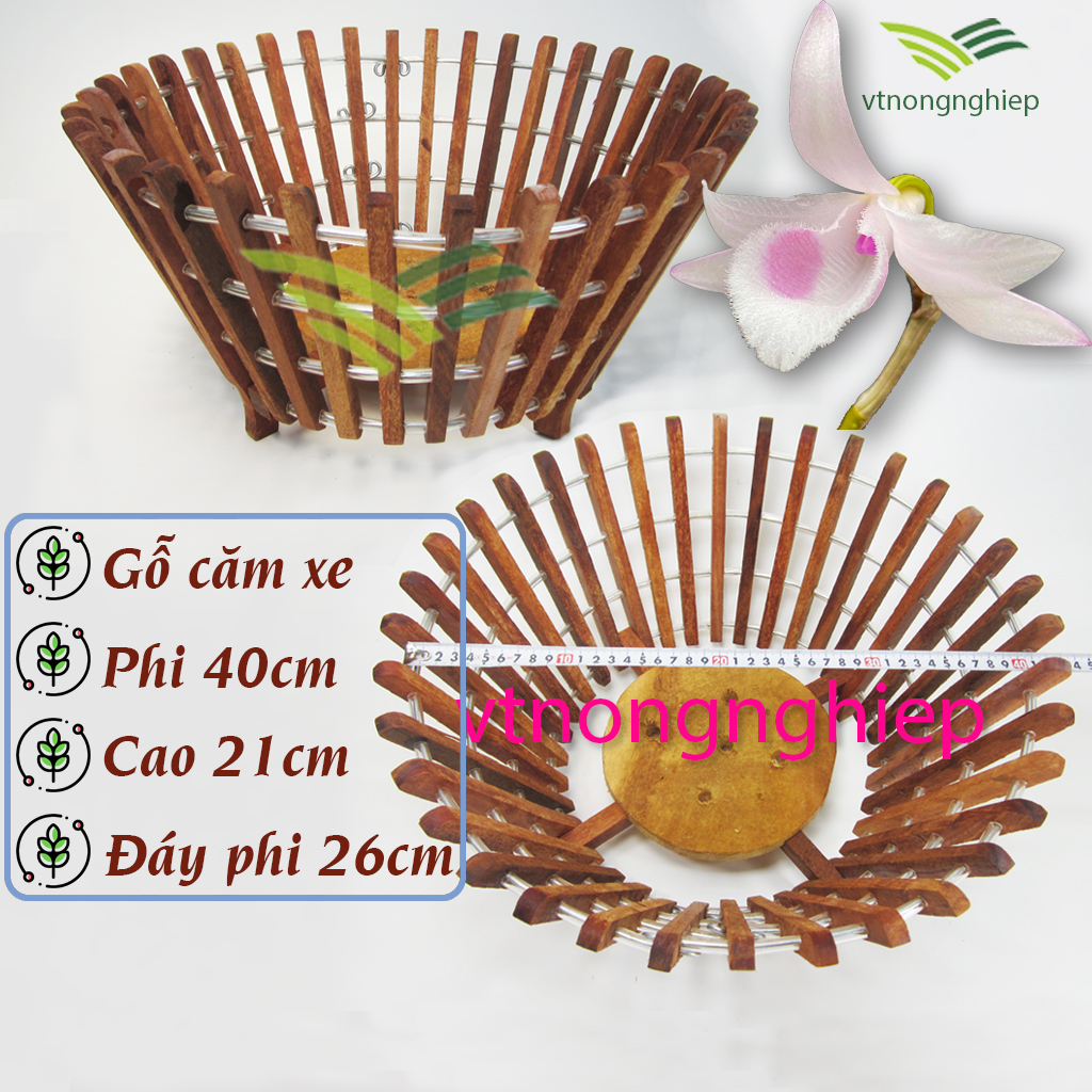 Chậu trồng lan bằng gỗ Căm Xe phi 40cm, mẫu vát nghiêng, chậu trồng hoa lan size lớn, gỗ cứng, lâu mục, chịu lực tốt.