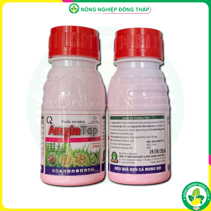 Thuốc Trừ Bệnh AmylaTop 325SC (Chai 240ml)
