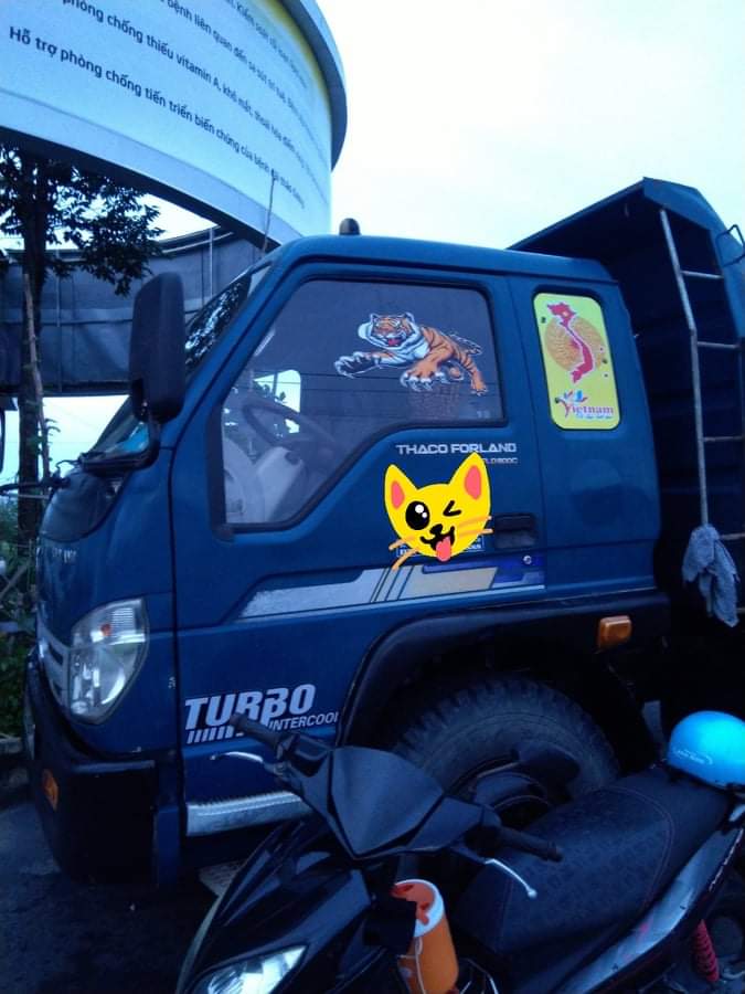 Cặp Tem decal con hổ cam dán xe, tem xe tải