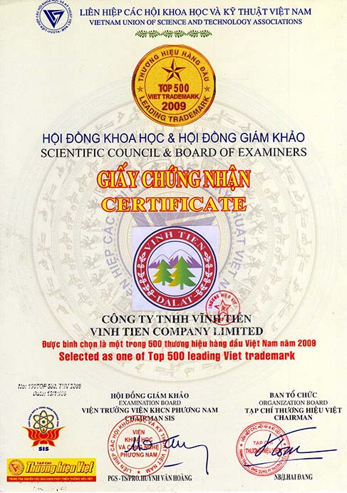 Atiso Vinh Tien tea 200g (100 packs x 2G)