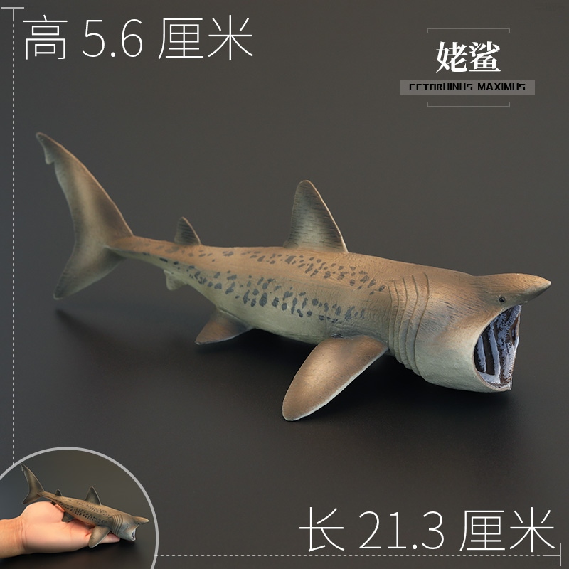 Children's solid simulation marine animal toy model basking shark elephant sand mouse cognitive gift ornaments