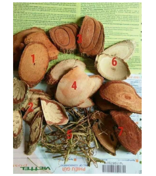 Cỏ máu Quảng Bình 1 kg  LV795