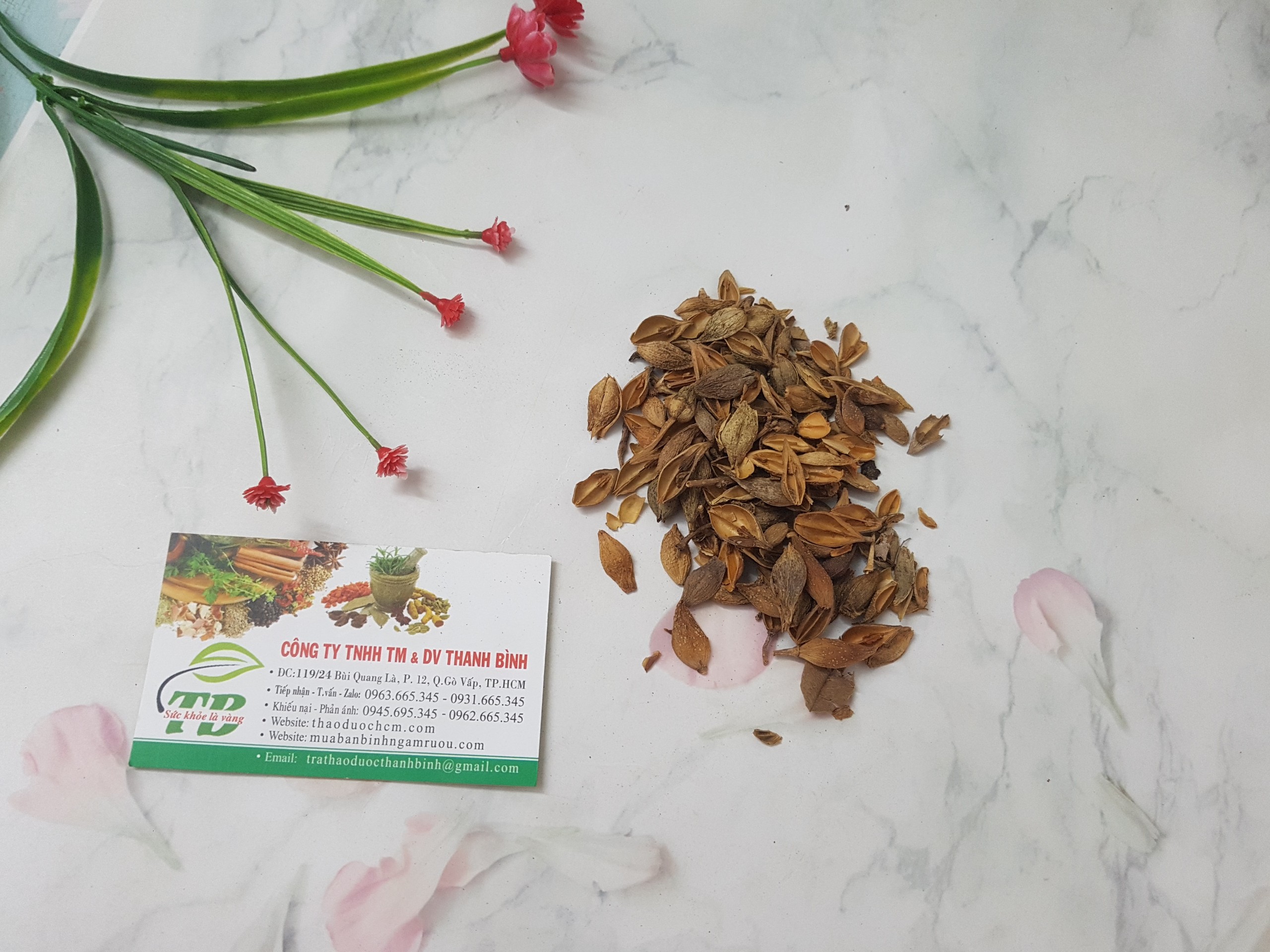 Liên Kiều 100G - Hàng Công Ty Thảo Dược Thanh