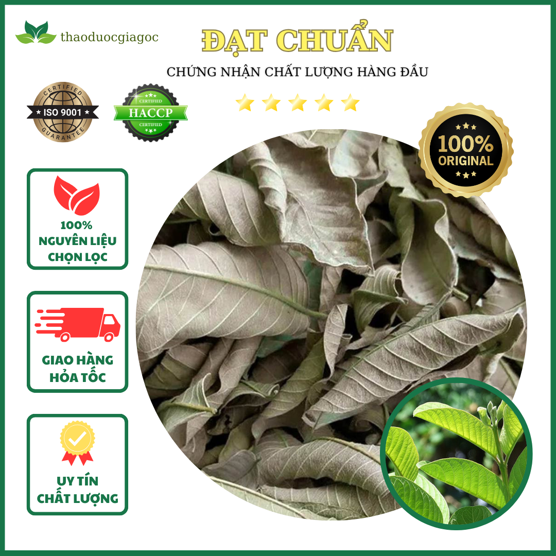 1 Kg Trà Lá Ổi Khô Nhà Làm giảm mỡ thừa cholesterol giảm cân hiệu quả tốt cho người tiểu đường