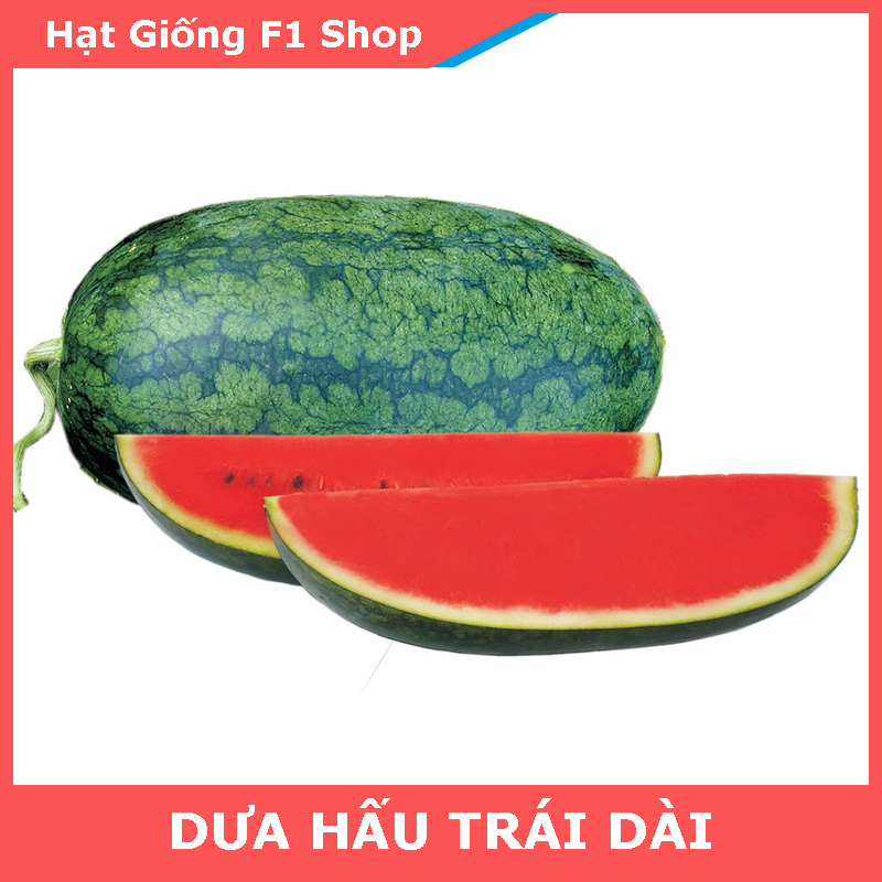 Hạt Giống Dưa Hấu Trái Dài Vỏ Mỏng