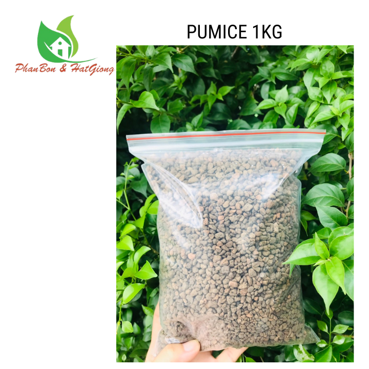 [1kg] Đá Pumice cao cấp - Đá Anh Vũ nhập khẩu Indonesia