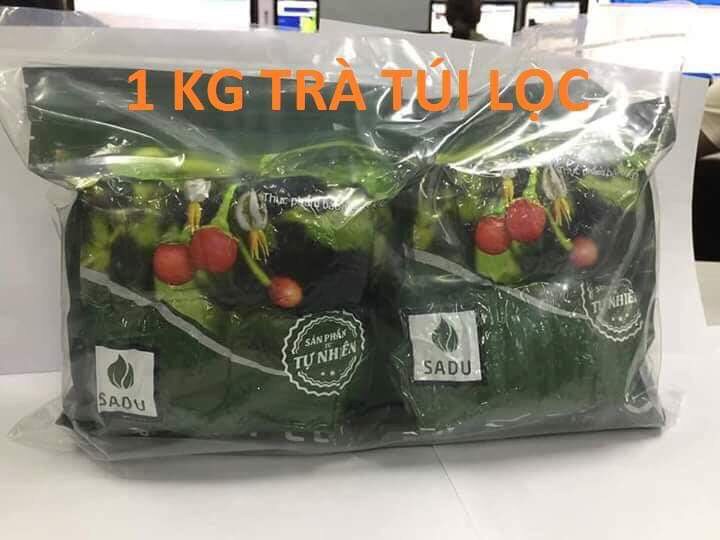 [HCM]1kg Trà túi lọc Cà Gai SADU