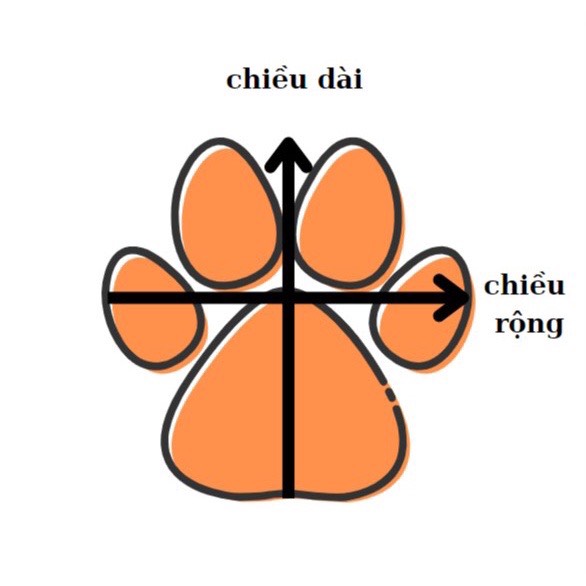 Giày đi mưa cho chó mèo