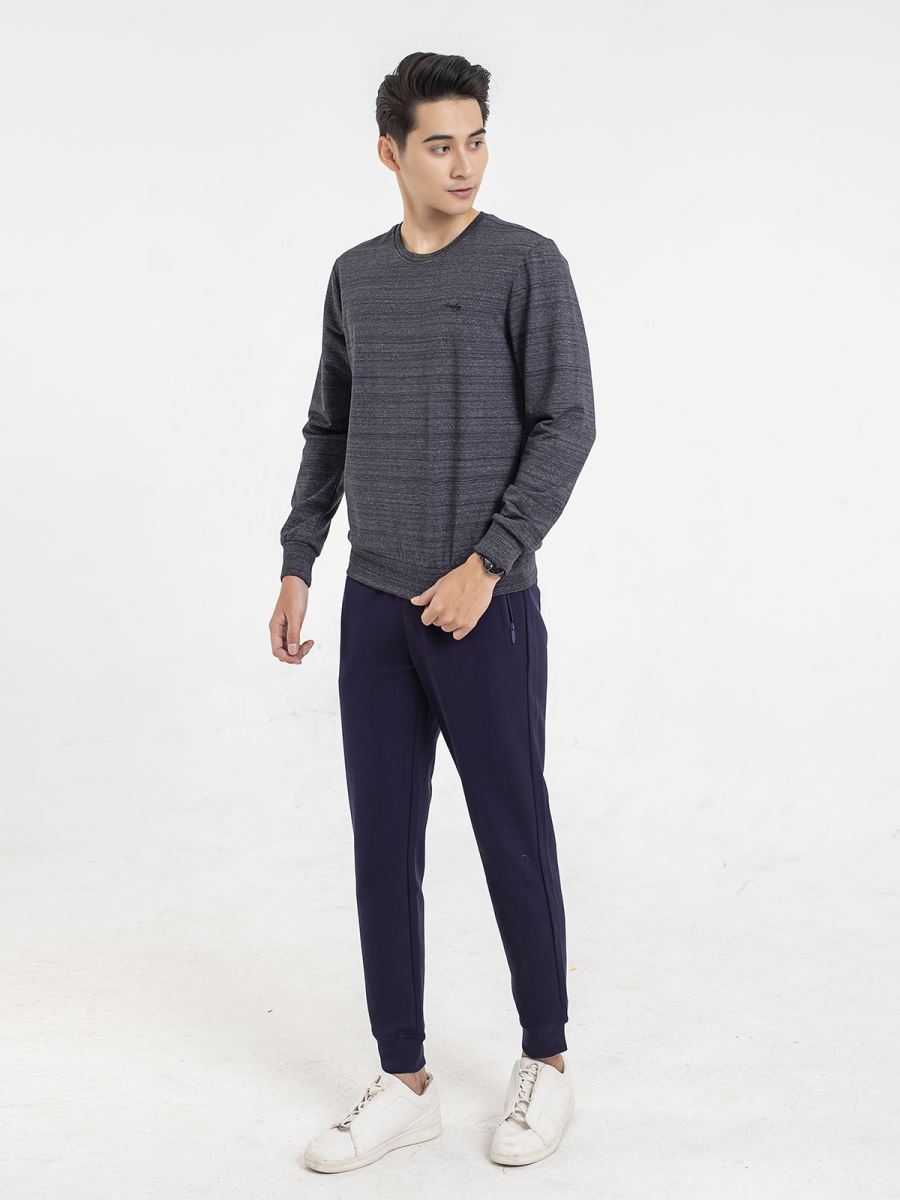 Quần Thu Đông Aristino APA004W9 Regular có M/L/XL