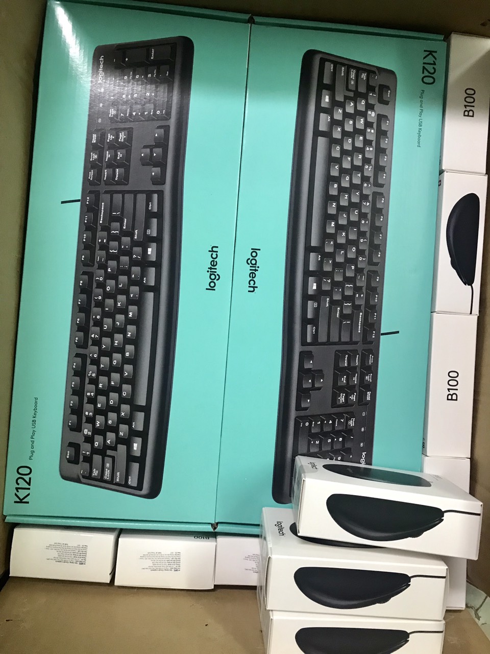 Chuột quang có dây Logitech B100