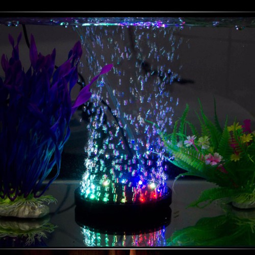Sủi đĩa oxy kết hợp đèn led cho bể cá