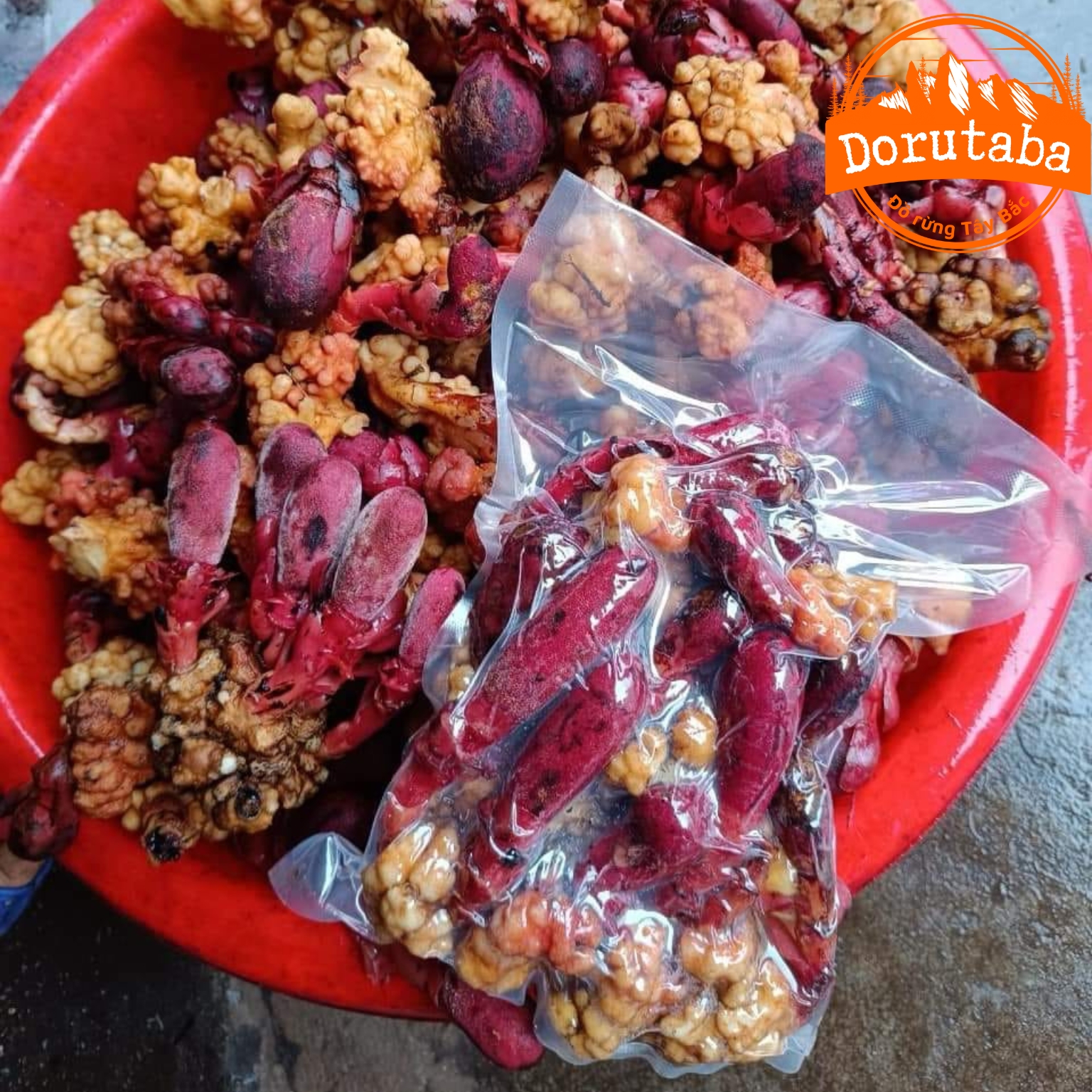 Nấm Ngọc cẩu tươi loại 1 1kg. Nấm ngọc cẩu tím vàng ngâm rượu, toả dương tích dương giúp bổ thận tráng dương tăng cường sinh lý