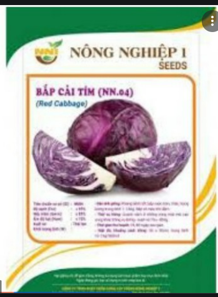 Hạt giống bắp cải tím gói 2 gram