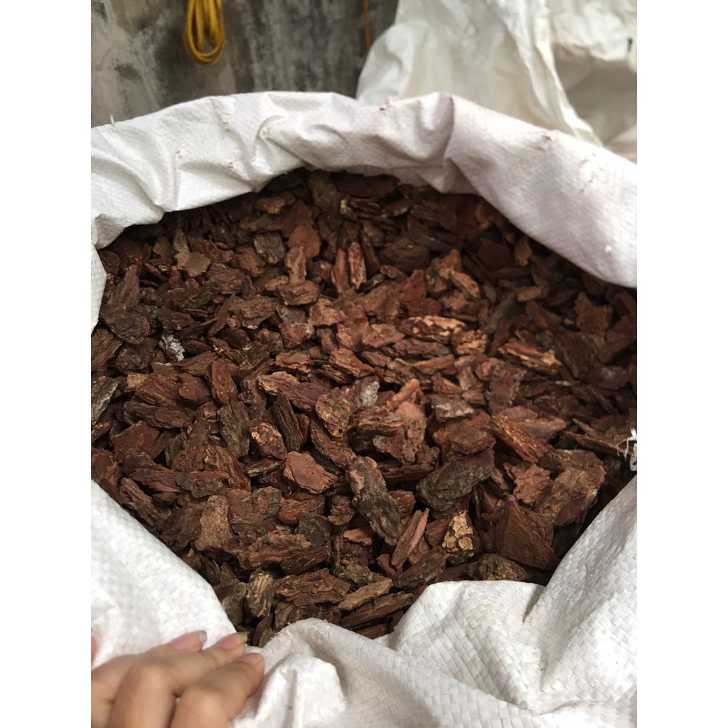 Vỏ thông đỏ trồng lan - 1kg
