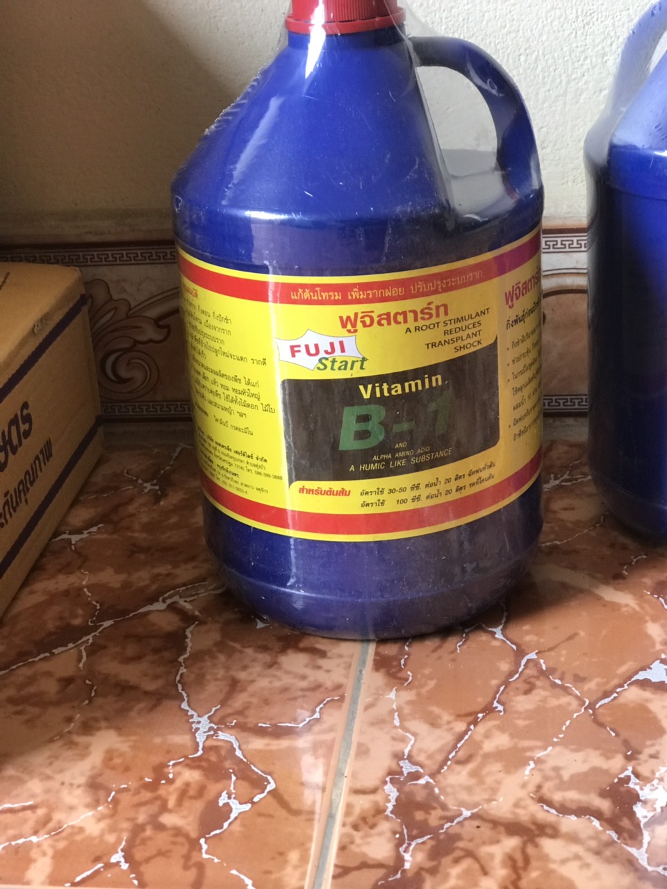 FUJI START VITAMIN B1 Chai 100ml