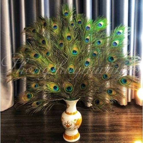 LÔNG CÔNG Thật (CB 5 Lông) (25cm đến 90cm mắt 3.5-6cm),Lông Khổng tước chiêu tài,trang trí thật 💯%