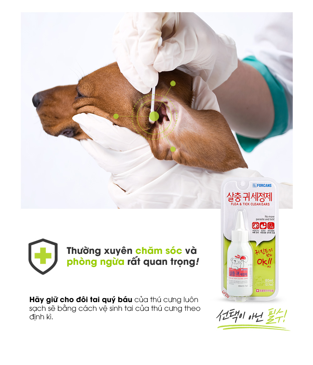 Dung dịch rửa tai cho thú cưng Forcans 100ml