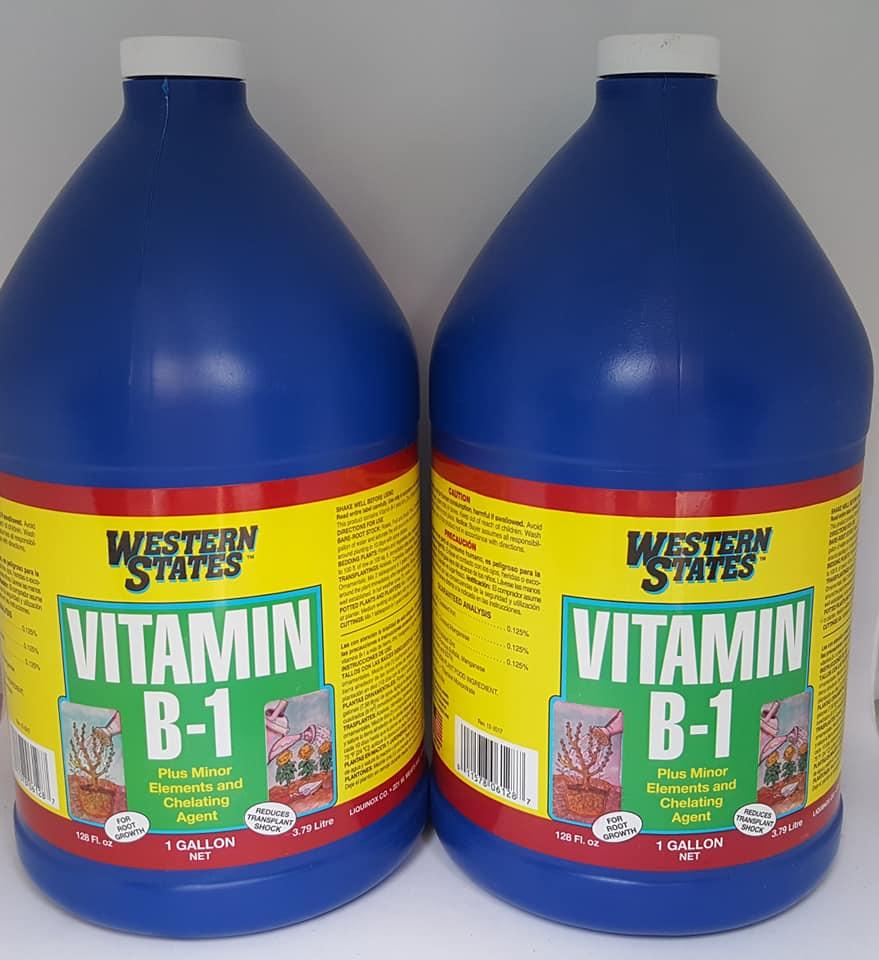 Vitamin B1 1 gallon (3.78 lít hàng nhập khẩu)