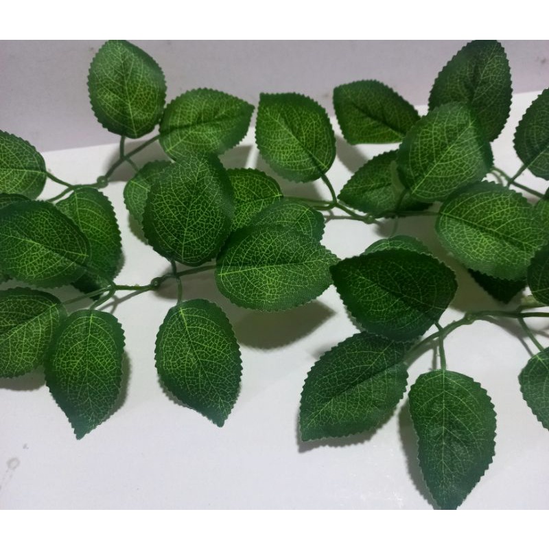 100g Lá hoa hồng vân