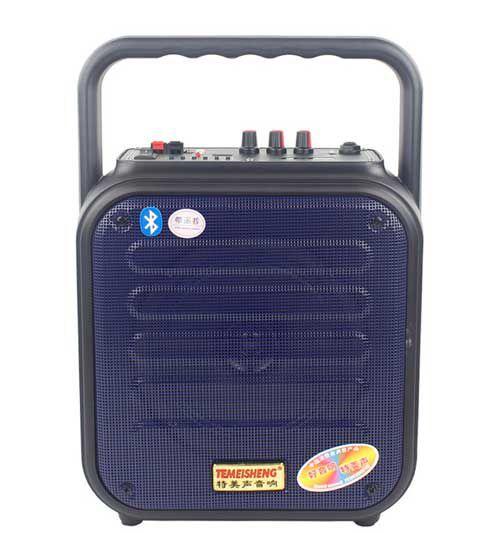 Loa Karaoke, Trợ giảng Temeisheng (LANGTING) A6-4 (Xanh)