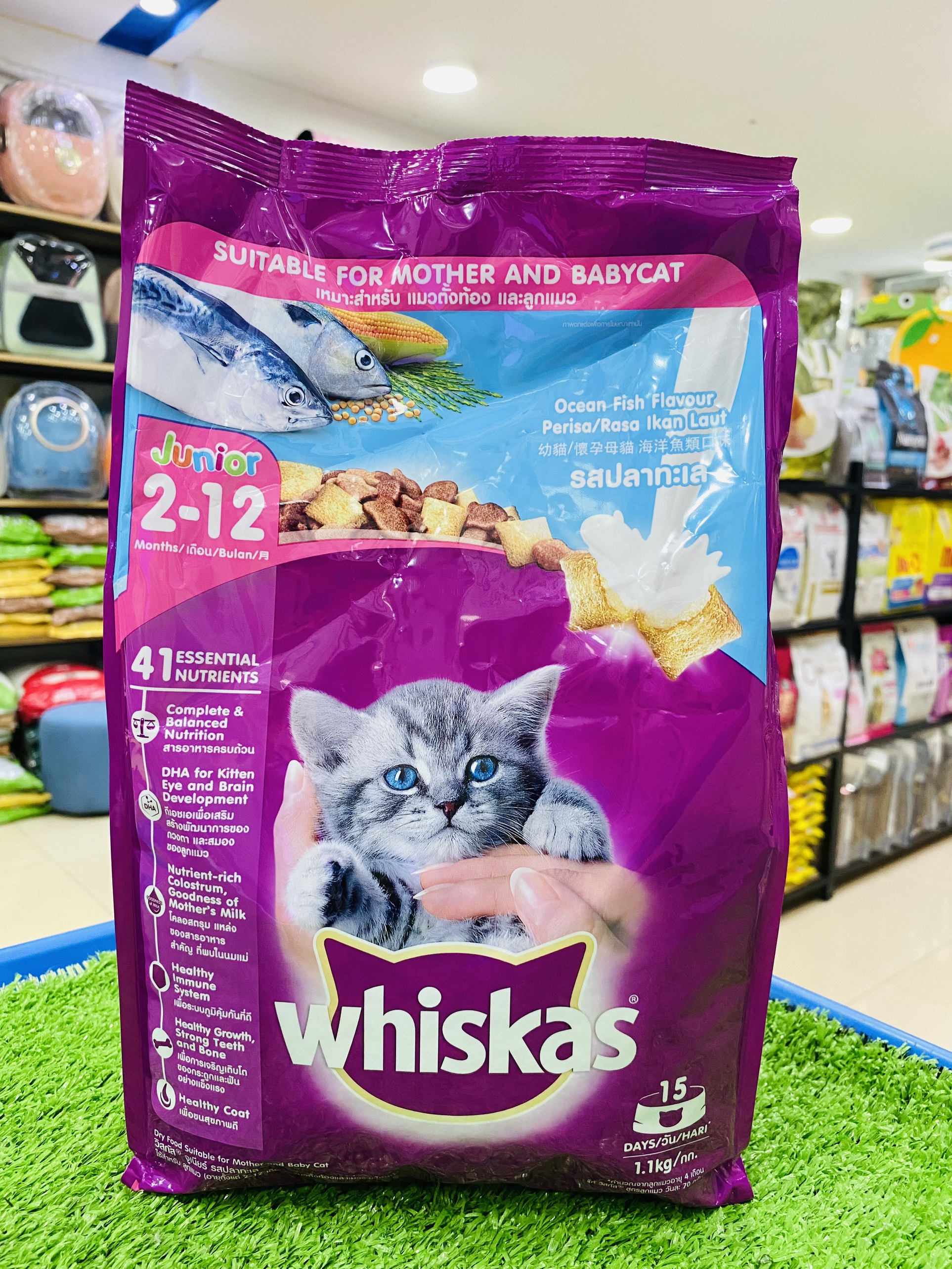 Thức ăn hạt Whiskas Junior cho mèo con dưới 12 tháng tuổi