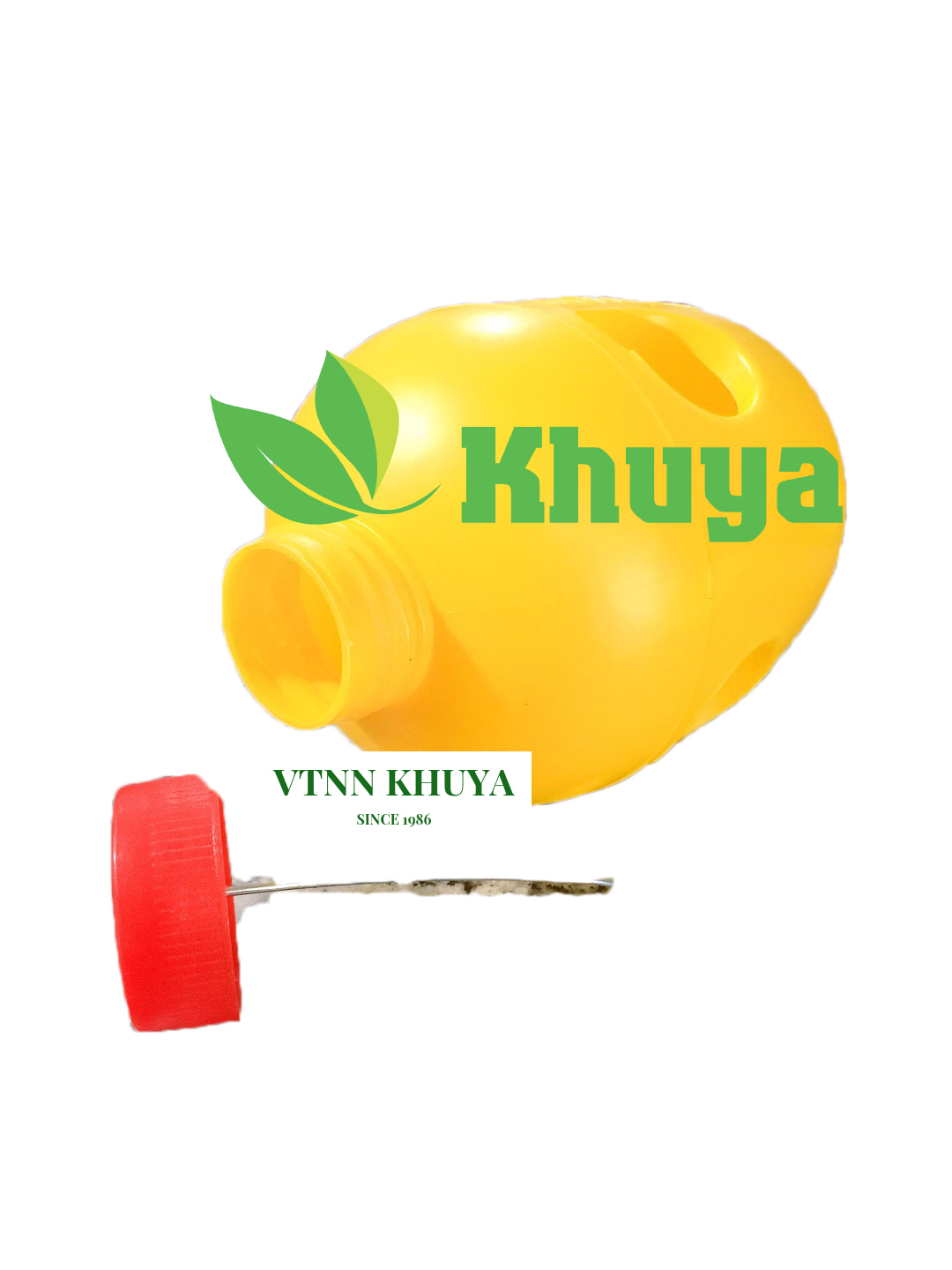 Bẫy ruồi vàng