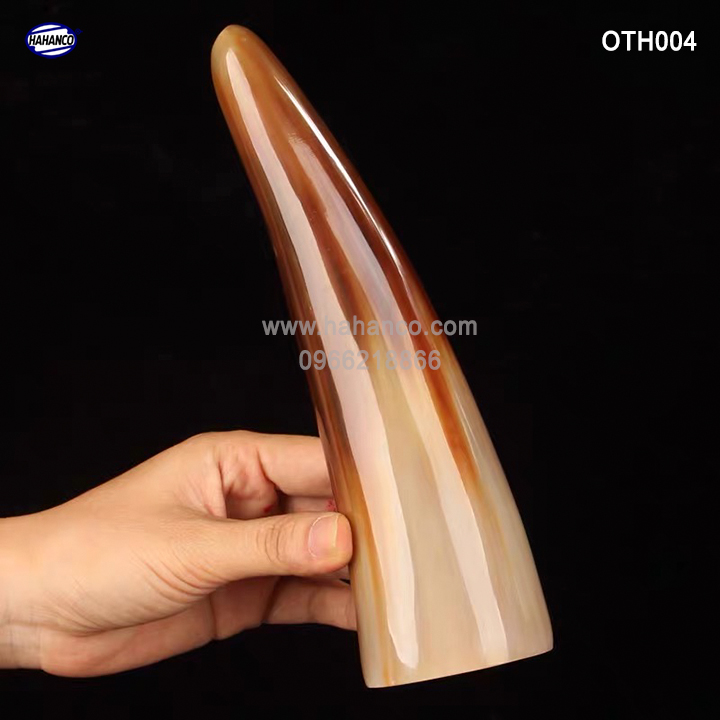 Chóp sừng bò châu Phi Vật phẩm trang trí phong thủy Decor nhà cửa