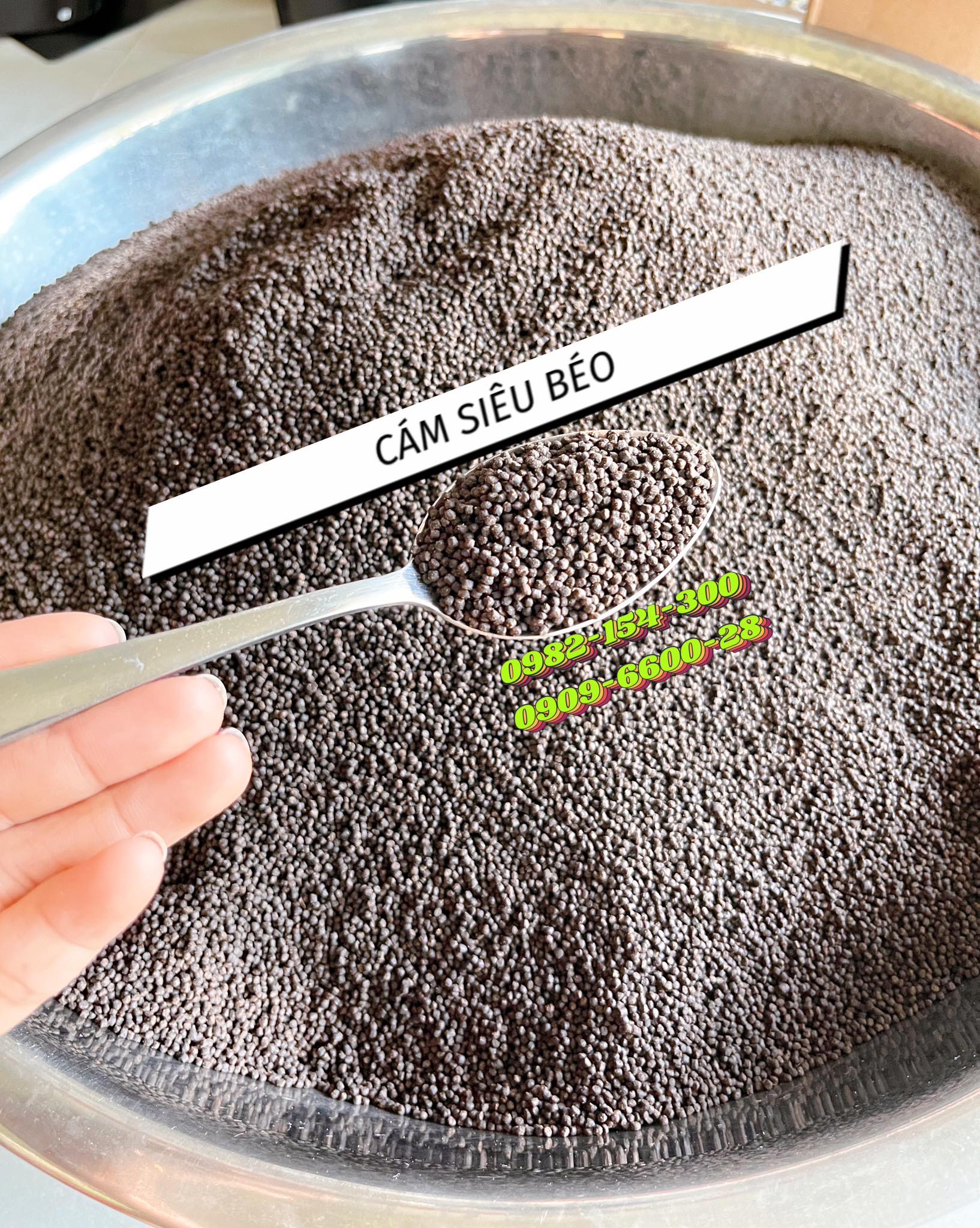 CÁM SIÊU ĐẠM SIÊU BÉO CAO CẤP CHO CÁ CẢNH , TÉP CẢNH