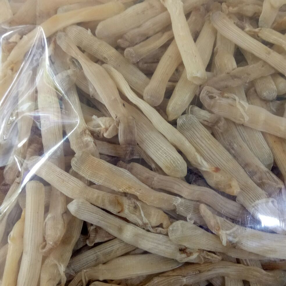 sá sùng vân đồn quảng ninh gói 200g