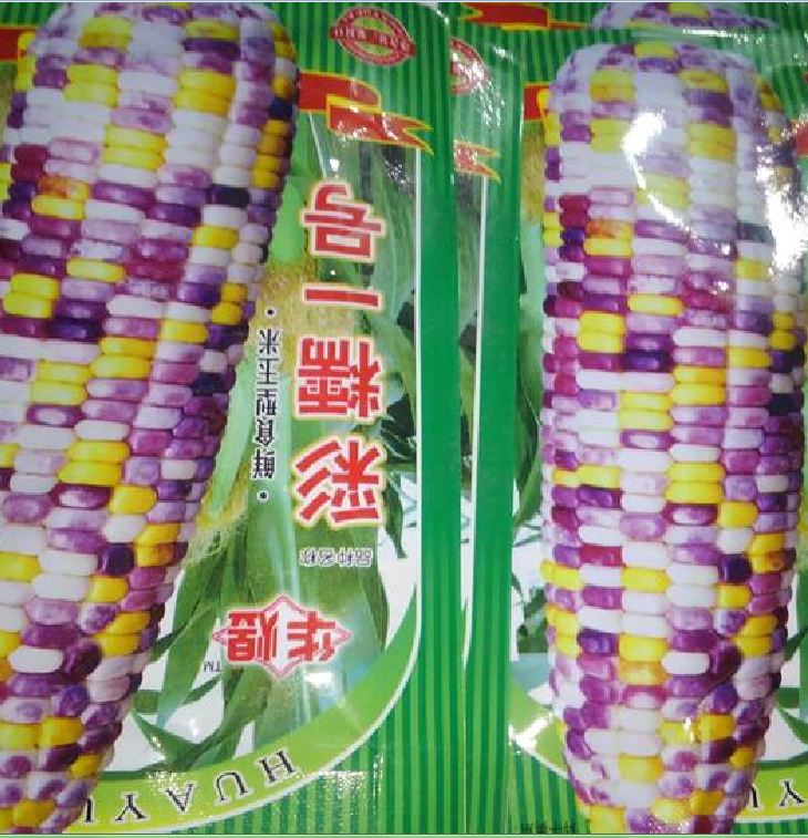Hạt giống ngô ngũ sắc ( ngô kim cương ) 30/gói