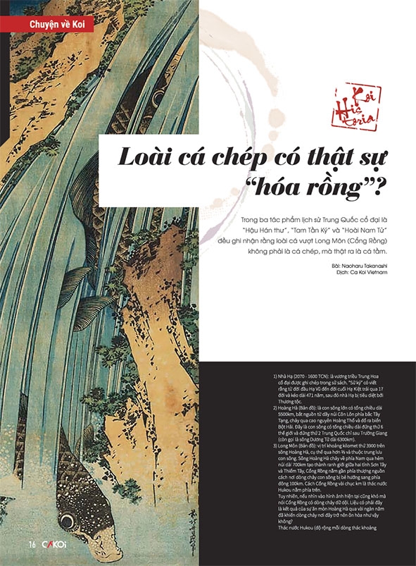 Fahasa - Cá Koi - Tập 6