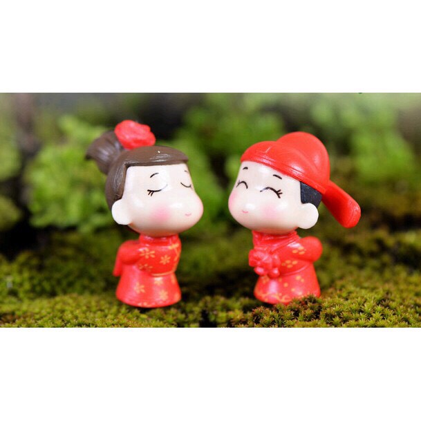 [HCM]Mô hình Cặp Đôi Tân Lang Tân Nương trang trí tiểu cảnh thủy sinh terrarium chậu cây cảnh sen đá bánh kem xương rồng