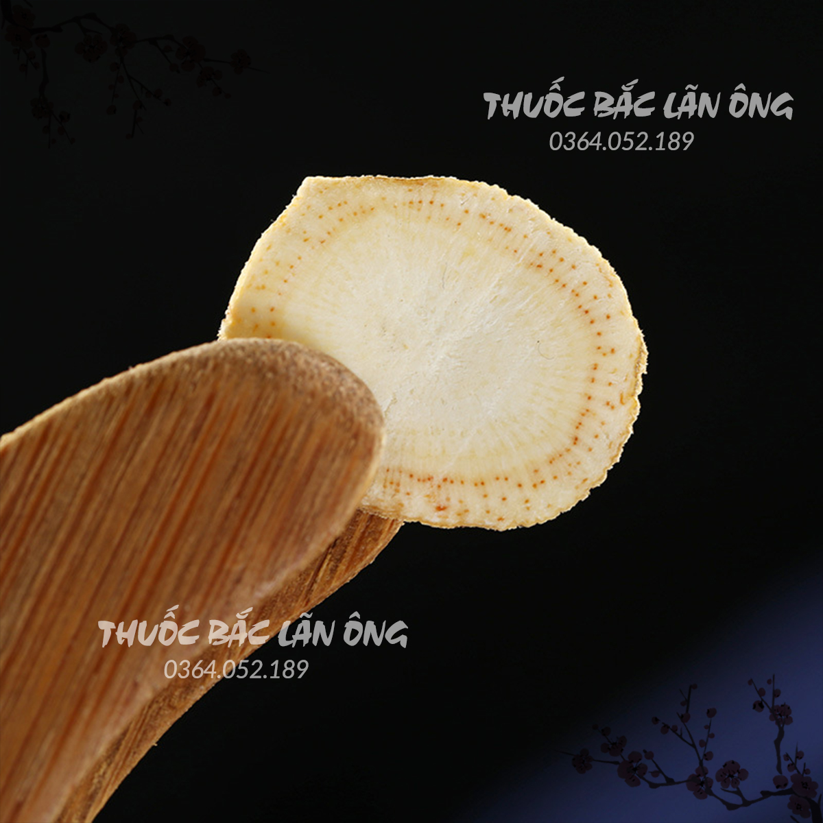 Thin Slices of West Ocean Ginseng 100g (Dried Panax Notoginseng, White Ginseng) - Lan Ong Traditional Medicine