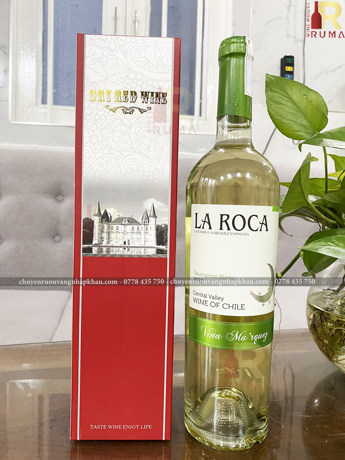 Vang Chile La Roca Sauvignon Blanc
