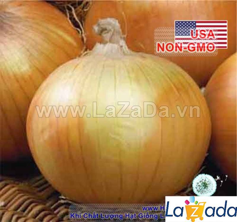 0.3Gr Hạt Giống Hành Củ Vàng Texas Grano (TLA0| C24*W21*M216)
