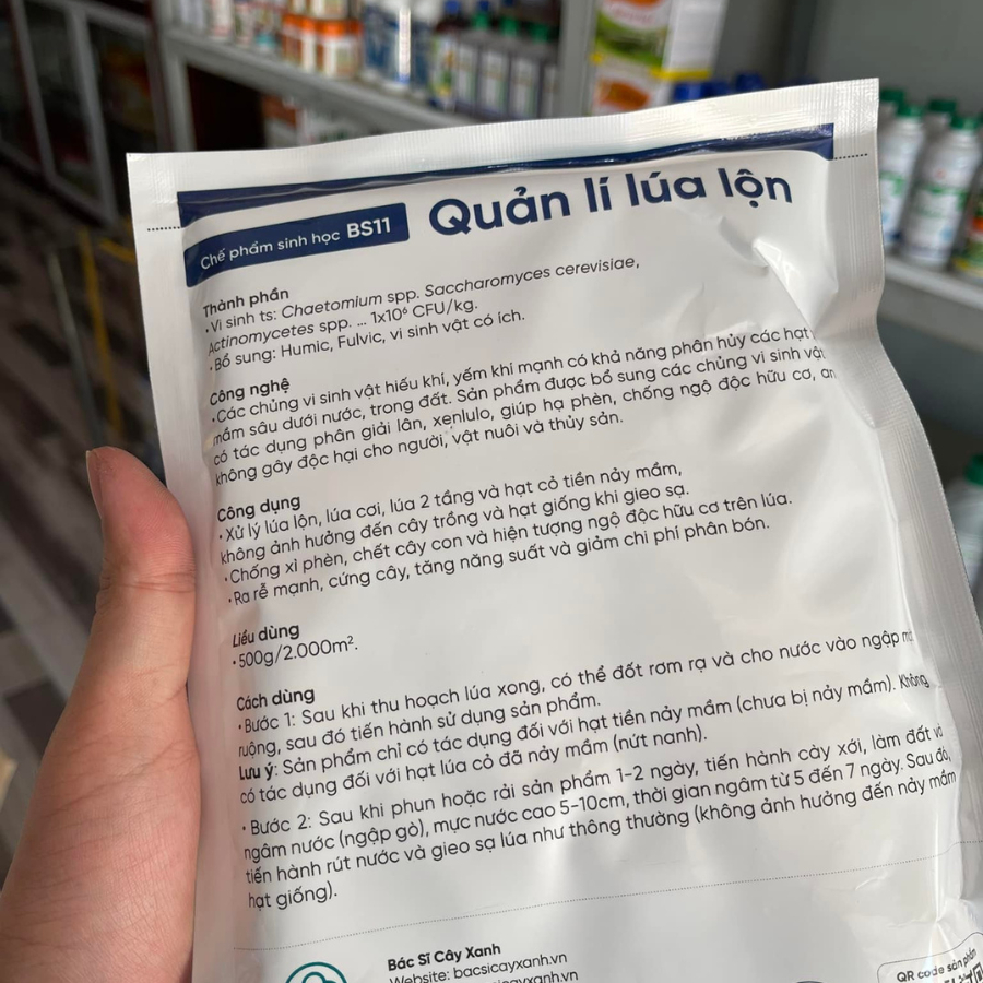 Chế phẩm sinh học BS11 xử lý lúa lộn, lúa cơi, lúa ma, lúa 2 tầng, chống xì phèn, chết cây con - Gói 500g