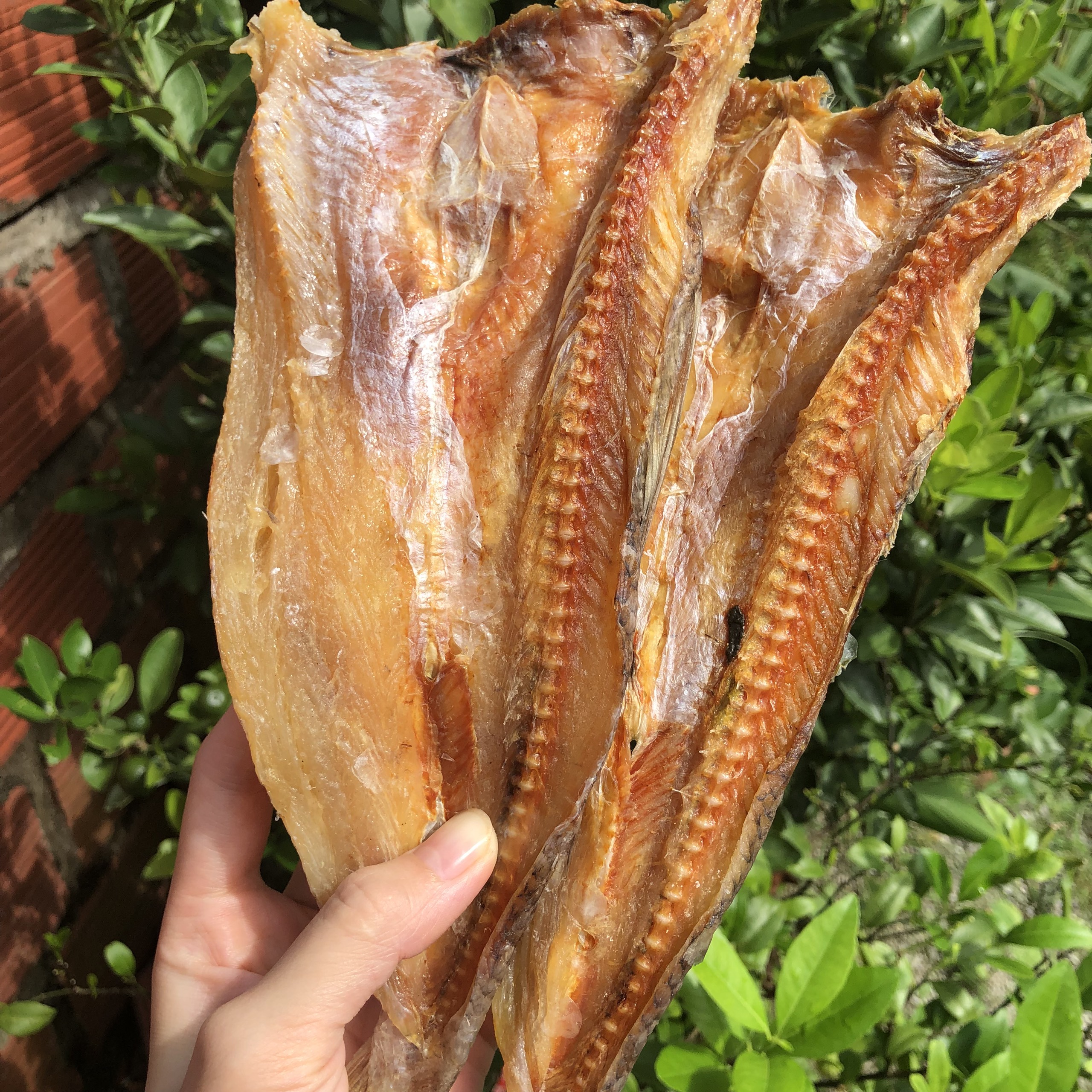 1KG Cá mối mặn Quảng Ninh/ Khô cá ngon