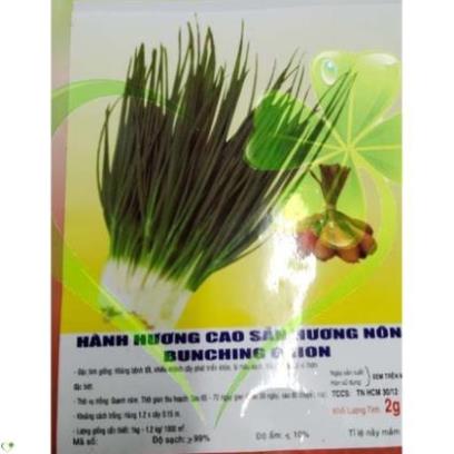 Hạt giống hành lá gốc trắng - gói 2 gram