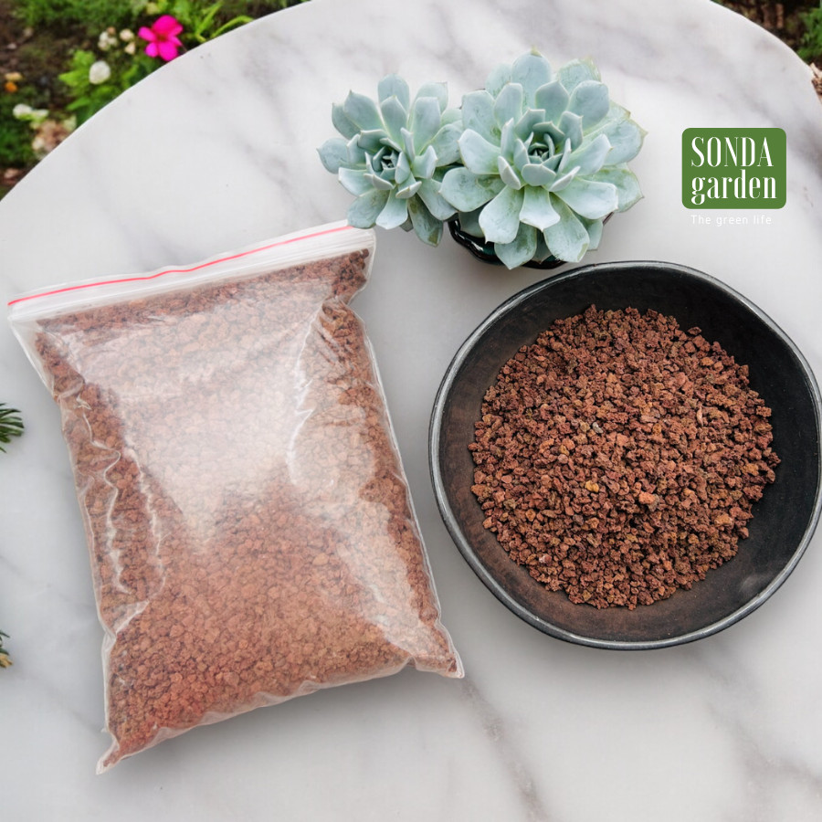 ĐÁ NHAM THẠCH ĐỎ (1kg) SIÊU PHẨM CHO SEN ĐÁ