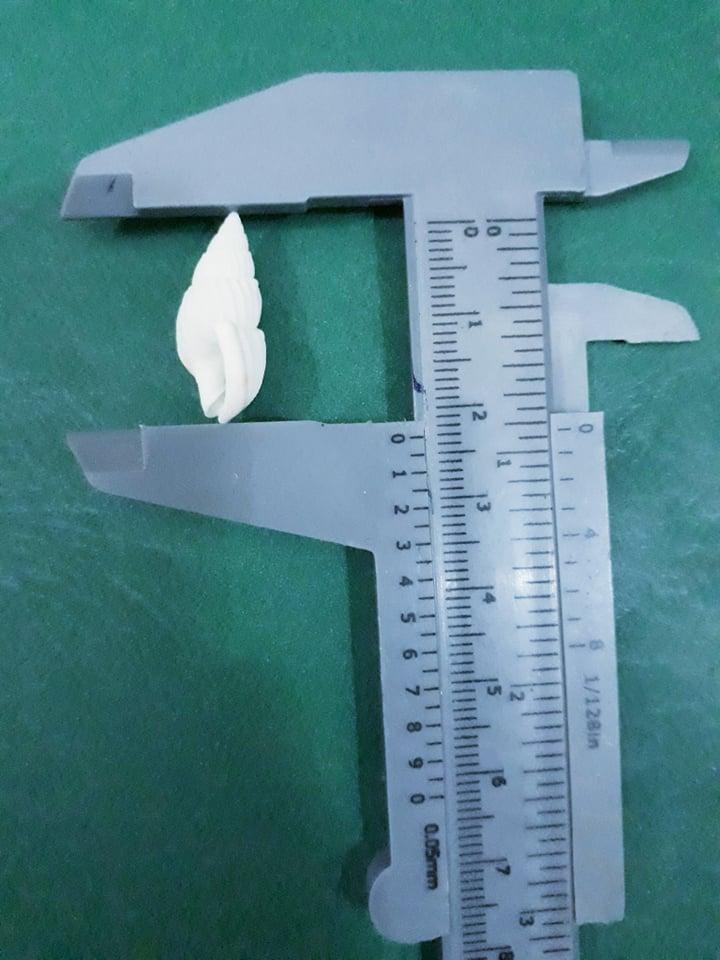 [HCM]50 vỏ ốc mini trắng trang trí.