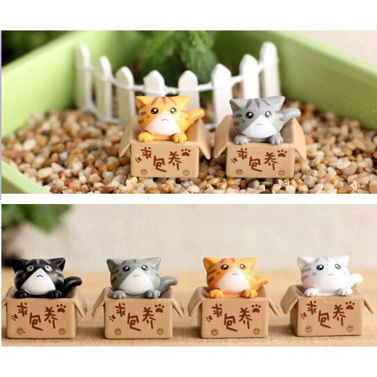 [HCM]Mô hình Mèo Trong Hộp trang trí tiểu cảnh thủy sinh terrarium chậu cây cảnh sen đá bánh kem xương rồng