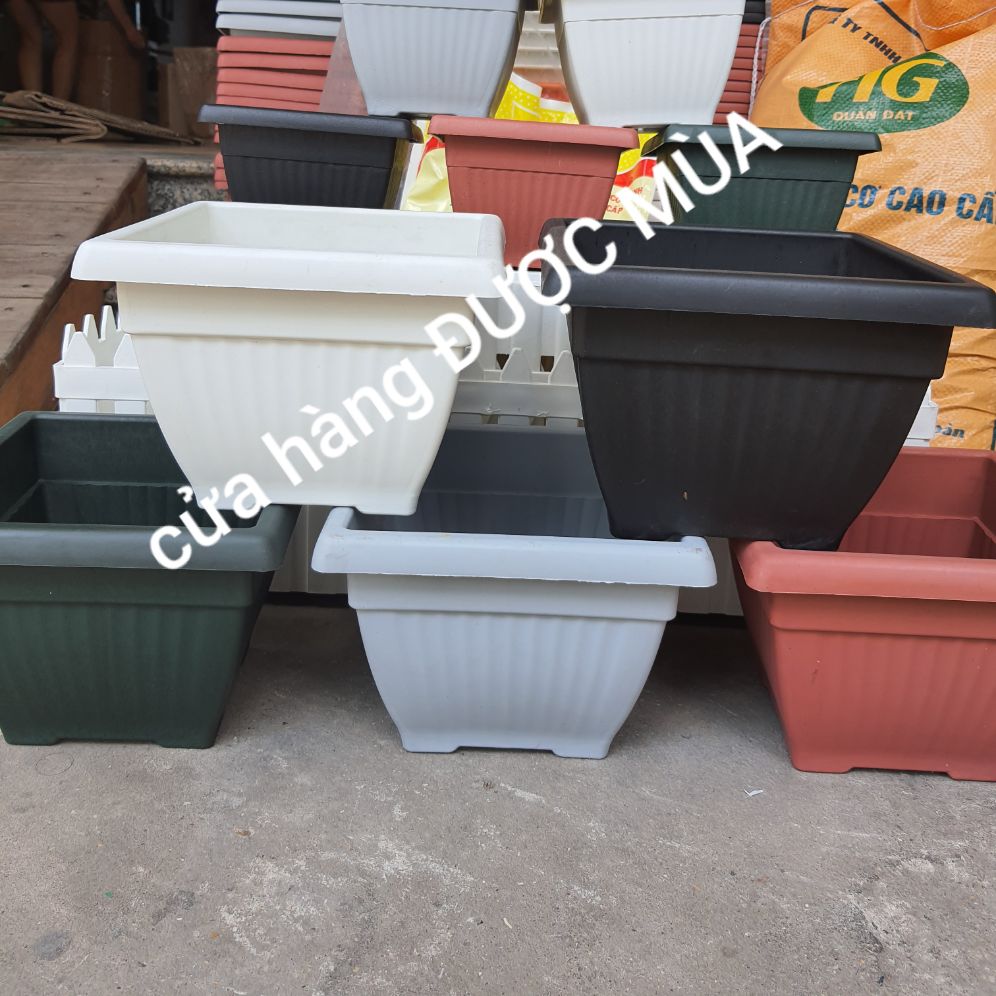combo 5 chậu vuông nhật 19x14cm nhựa dày tốt.
