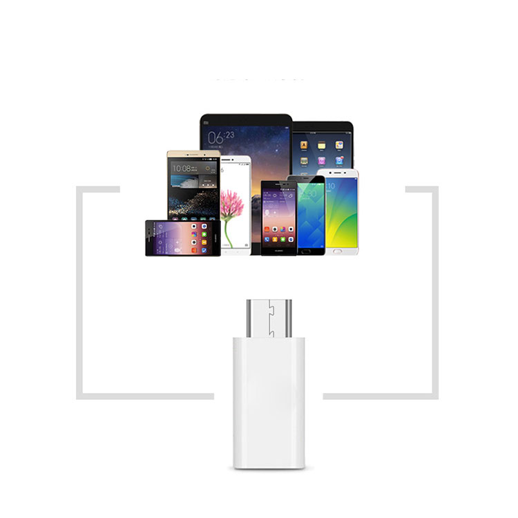 Đầu Chuyển Đổi USB Type C 3.0 Sang Micro USB