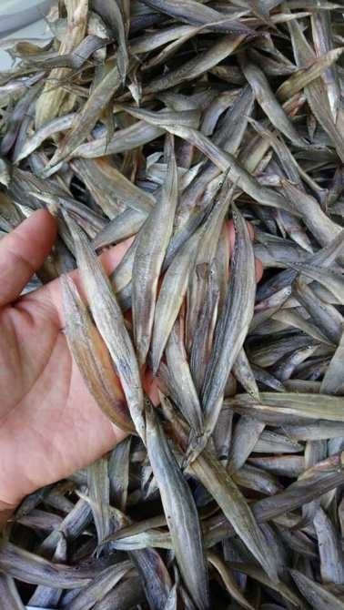 1kg Khô cá chạch