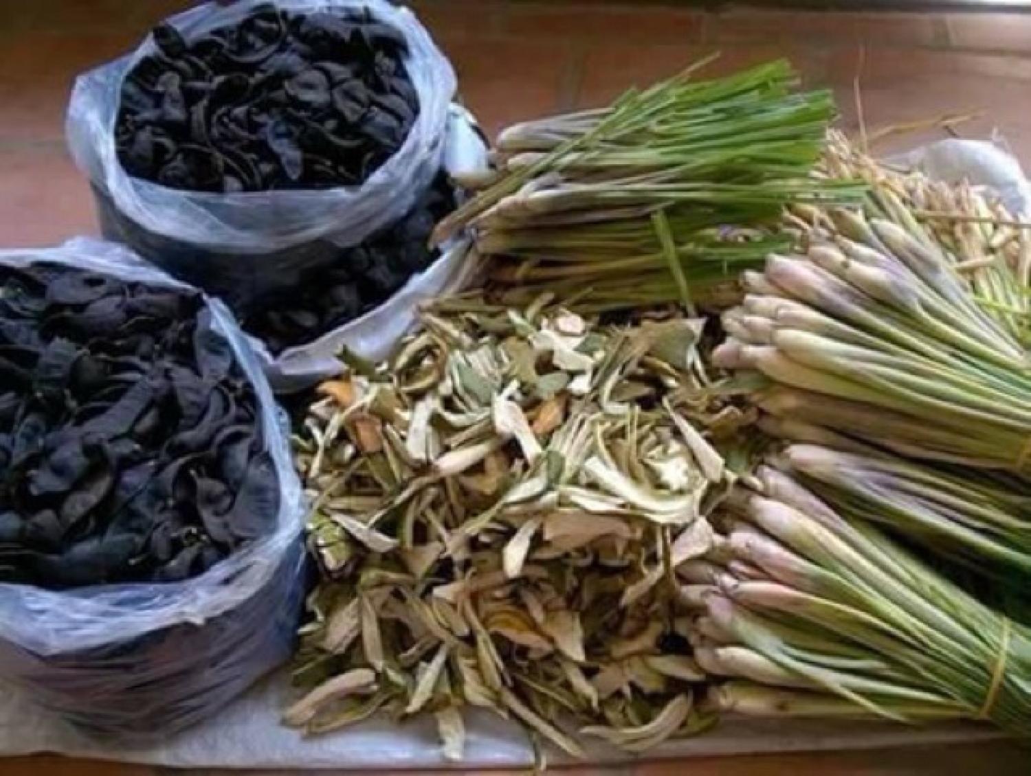 NƯỚC GỘI THẢO dượᴄ HUYỀN THOẠI