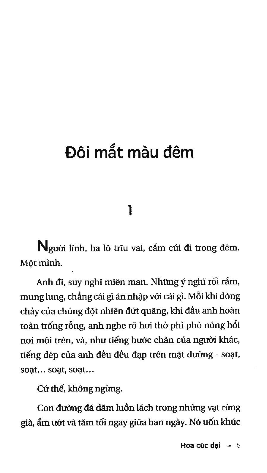 Hoa Cúc Dại