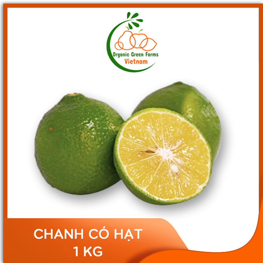 [OGF] - Chanh có hạt (500g) - Giao nhanh HCM