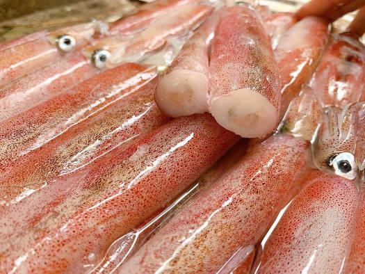 Mực Ghim 450gr
