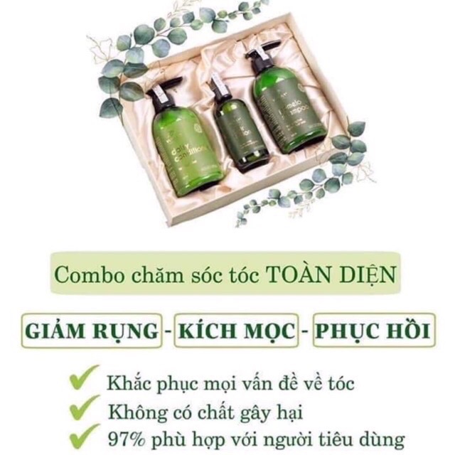 [HCM]Combo DẦU GỘI BƯỞI VI JULLY