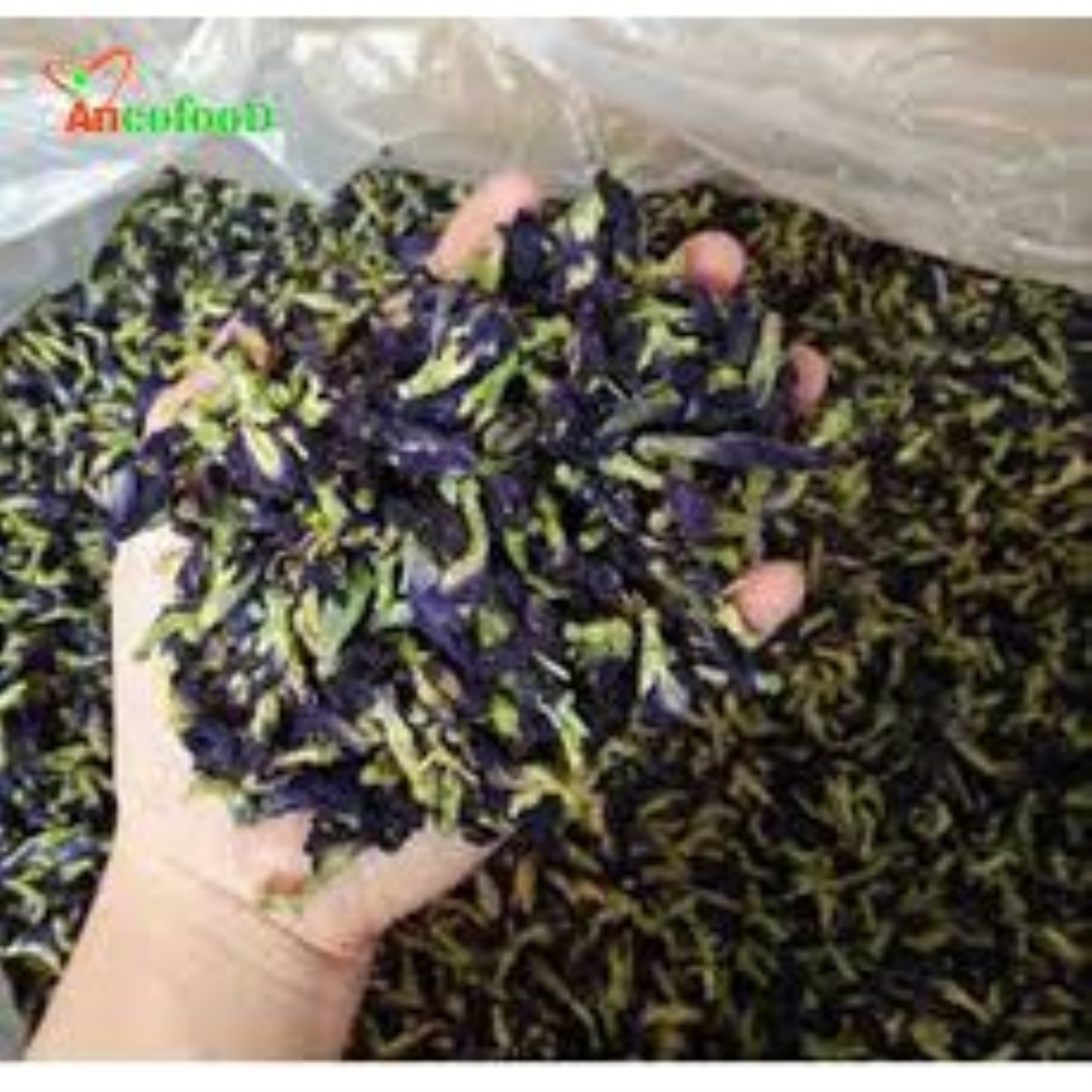 HOT SALE 200g hoa đậu biếc